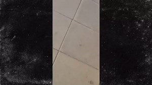 Mass Shooting -- Chaos in Munich Mall (PHOTOS VIDEO)