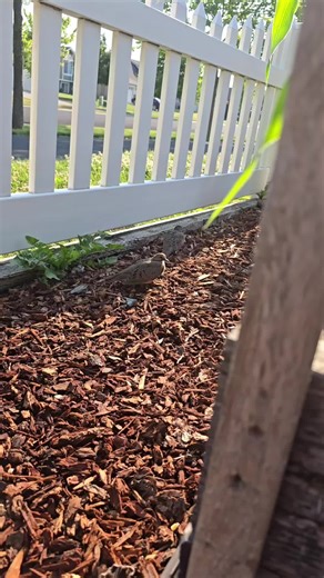 Sneeds shop (@jsneedly)’s videos with original sound - Sneeds shop