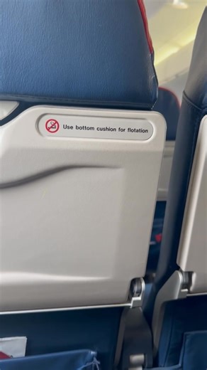 5.9K views · 127 reactions | Delta Flight #3927 and this is what we’re listening to on takeoff! This plane sounds horrible! Lord get us home safely! | Willie Mae Lampkin-Stokes | Facebook