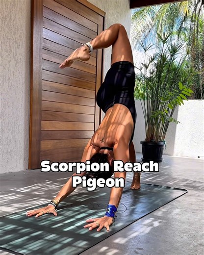 Flow Education Brasil Oficial on Reels