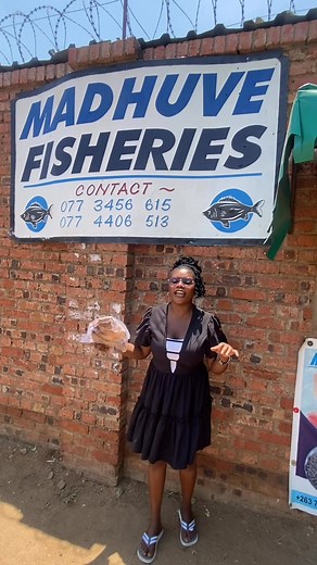 3,50us per kg fish 8us per kg Matemba 13us per kg fillets 7us dried fish per kg Eunice Rwodzi 0773456615 | Panashe Lorah
