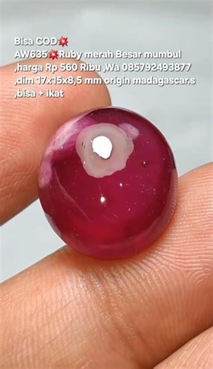 Bisa COD💥AW635💥Ruby merah Besar mumbul,harga Rp 560 Ribu ,Wa 085792493877,dim 17x15x8,5 mm origi