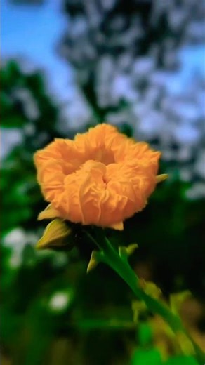 #photography