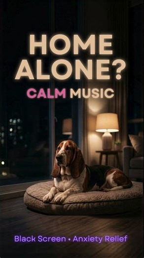 Your dog is home alone right now — play this before you leave