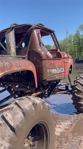 8.1K views · 50 reactions | RHINO USA on Reels | Facebook