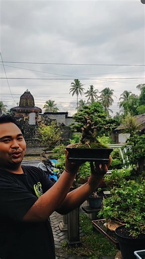 Alhamdulillah hujannya sudah reda. | Habibi