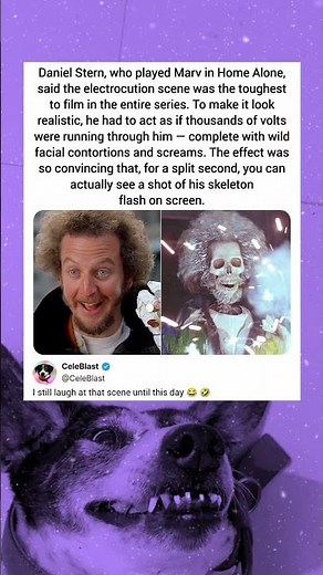 Daniel Stern, who played Marv in Home Alone said the electrocution scene was the toughest to film
