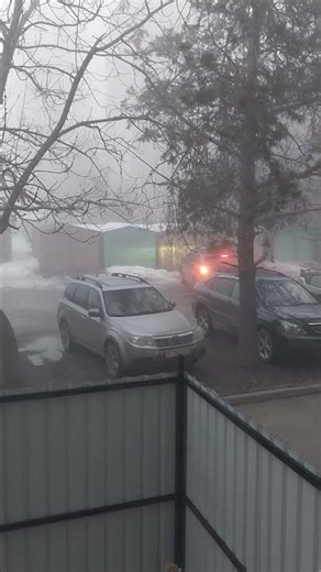 1 марта 2026 г.