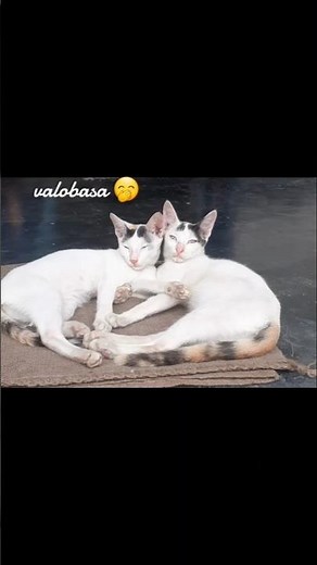 তাবিজ করছে 🙃🤭