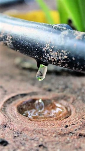Effective Drip Irrigation Installation for Your Garden