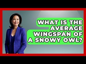 What Is The Average Wingspan Of A Snowy Owl? - Polar Regions Uncovered