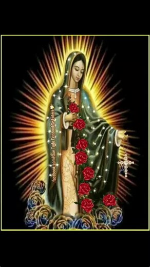 Chaparo Poot on TikTok