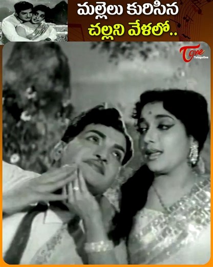 " Mallelu Kurisina Challani Velalo " Song from Adugujadalu movie, Starring : NTR, Jamuna, SVR, relangi and others, movie directed by Tapi Chanakya. Produced by M.Sambasivarao and Music by Master Venu.#AdugujadaluSongs #NTRMovieSongs #ActressJamunaSongs #OldteluguSongs | Old Telugu Songs