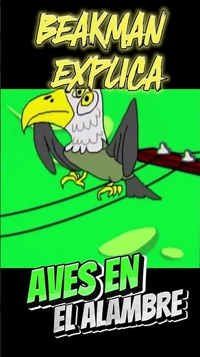 BEAKMAN EXPLICA. POR QUE LAS AVES NO SE DAÑAN CUANDO SE PARAN EN LAS LINEAS ELÉCTRICAS