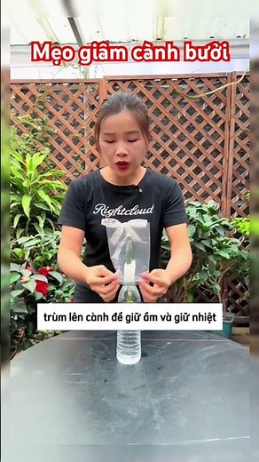 Tips for Growing Grapefruit Cuttings as Easy as Eating Candy - 100% Rooting, Anyone Can Do It | P...