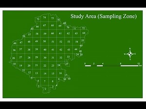 Create Fishnet or Grid Polygons in ArcGIS | Sampling Design for Inventory Study