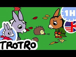 TROTRO | COMPILATION | 🦔 Trotro plays with cute animals! 🐠