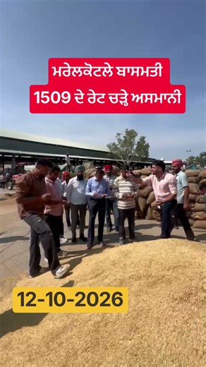 ਬਾਸਮਤੀ 1509 ਦੇ ਰੇਟ ਚੜ੍ਹੇ ਅਸਮਾਨੀ 🚀 ਲਾਇਵ ਬੋਲੀ ਦੇ ਪੈਂਦੇ ਪਟਾਕੇ 🎇 | 12-10-2026 | Mr Jatt