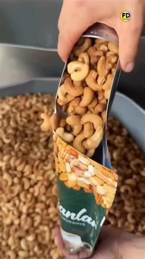 “From Toxic Shell to Tasty Snack 😱 | The Shocking Truth About Cashews!”#amazingfacts #cashew #shorts