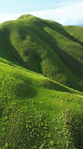 Morning Hike Tour Guide and Drone Shot — Book a Tapp Tour