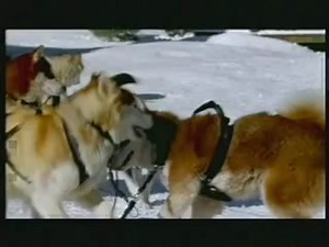 Snow Dogs - Film Clip 5