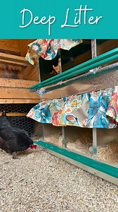 45K views · 5.1K reactions | Deep litter versus  shelf method… Deep...