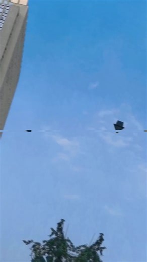 beber la amargura por ti#fyp #spain #peliculas #españa #videoviral