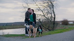 When no one else wanted these three dogs, this military family took them in — and now they’re finally back together again 🙌 | Welcome Home