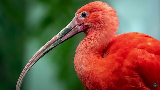 How To Edit High-ISO Photos in Lightroom