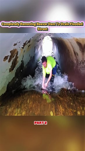 #Drains #Wildlife #Culvert
