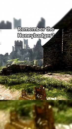 Remember the Honeybadger ? #codnostalgia #ogcod #codmemories | Honey Badger