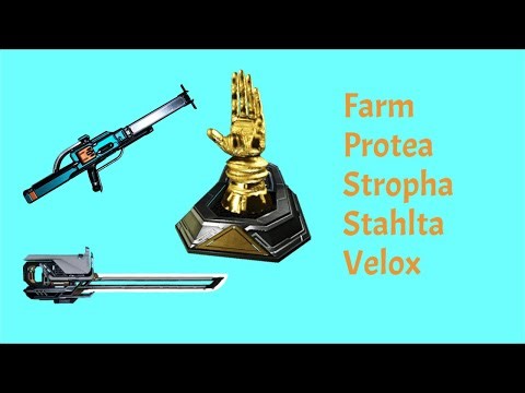 Farm Protea Stropha Stahlta Velox