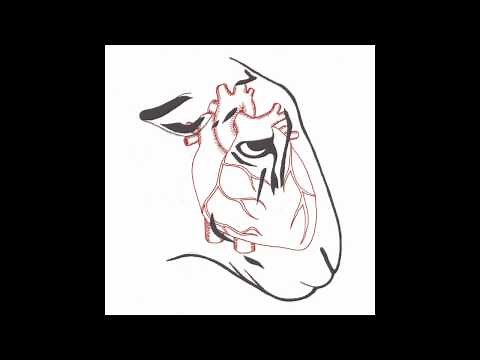 ROAR - Poor Grammar