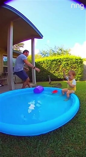 Parrot Saves Toddler From Python!