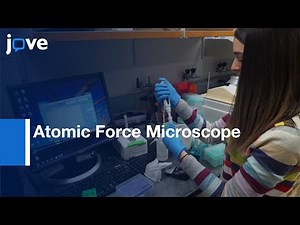 Single Protein Molecules Spectroscopy by Atomic Force Microscope (AFM) | Protocol Preview