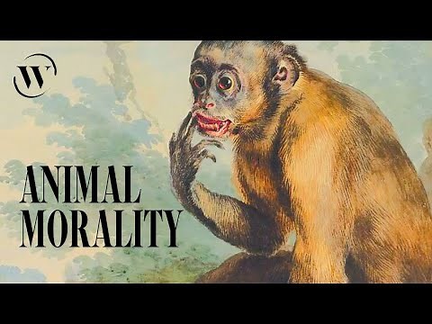 95% of your behavior is primate behavior | Frans de Waal
