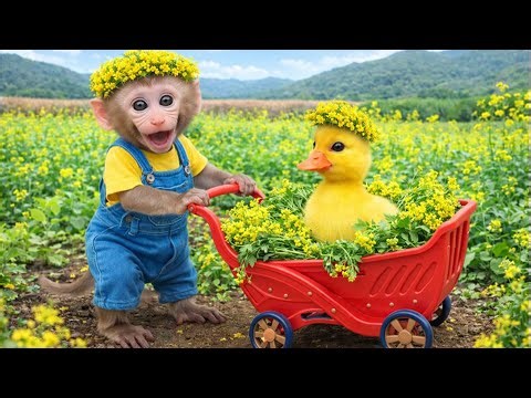 Smart little monkey Bim Bim and his little brother go harvesting vegetables