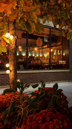 Fall Date Nights at Hoja Santa 🍁🍃🍂🥂 #chicago #hiddengems #datenight #restaurant #steak