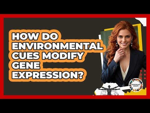 How Do Environmental Cues Modify Gene Expression?