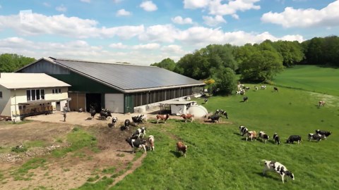 Dokumentationen und Reportagen: Landwirt aus Leidenschaft - Wie Jungbauern neue Wege gehen