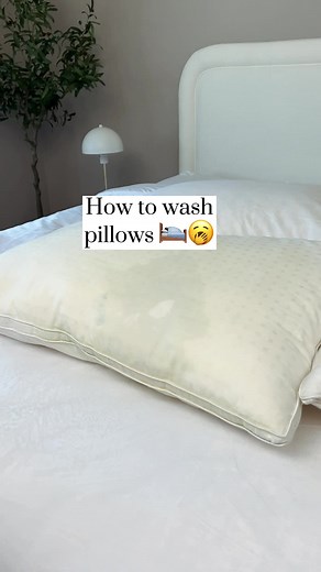 My secrets to getting those pillows squeaky clean! 🕊️⭐️ #laundryhacks #homehacks #cleaningtips