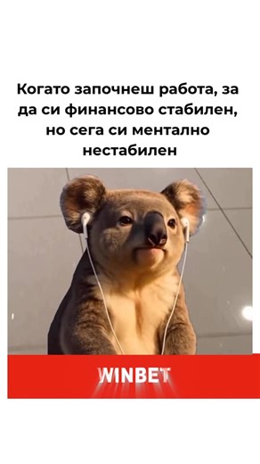 Meme Master | Meme Marketing Services 📈 on Instagram: "@winbet.online.casino #winbet"