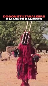 The Dogon stilt walkers and masked dancers are something else! #culture #tribe #tradition #africa #dance #dogon #masks Video credit: /ginopop | Unrestricted Borders