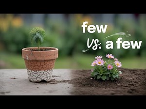 Difference Between Few and A Few with Easy Examples | Grammar for Beginners