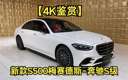 【4K鉴赏】新款S500梅赛德斯-奔驰S级