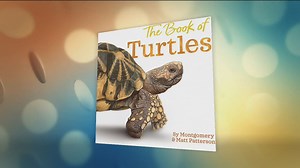 "The Book of Turtles" by Sy Montgomery & Matt Patterson