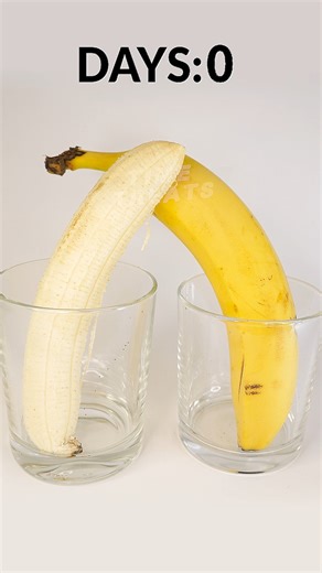 Banana vs. Peeled Banana. Which One Do You Like More? 😁 #banana #timelapse #science #experiment #decomposition | Time Treats