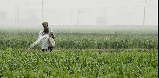 The Green Revolution is a warning, not a blueprint for feeding a hungry planet