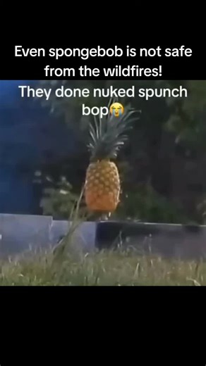 #fyp #fypシ゚ #fypシ゚viral #viral #viralvideo #memes #funnymemes | spongebob