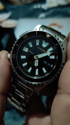 Citizen promaster diver's watch fugu limited edition #diverswatch